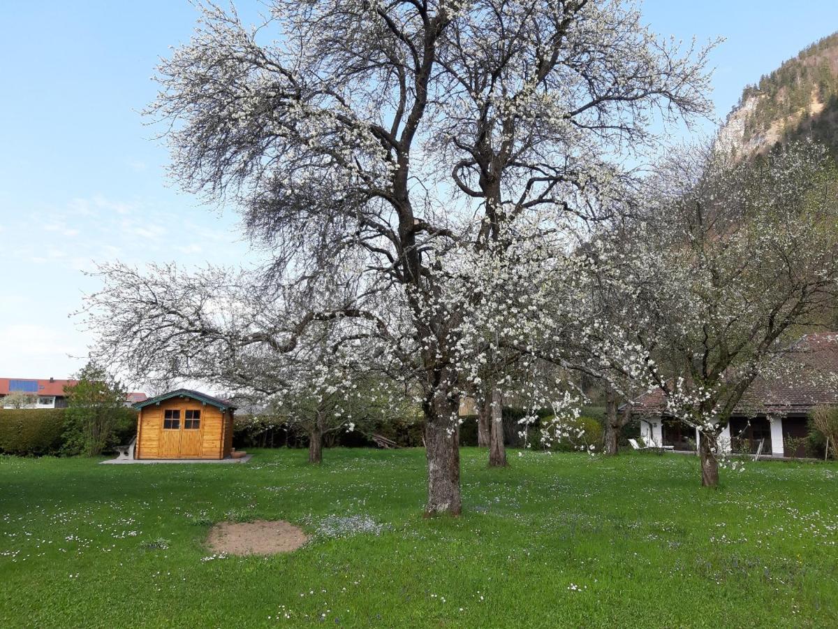 Appartamento Haus Polleichtner Marquartstein Esterno foto